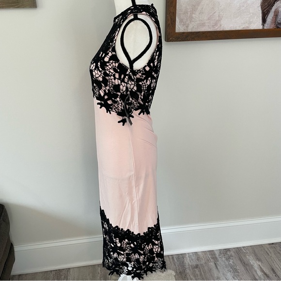 Elegant Black and Pink Lace Dress - Picture 3 of 10